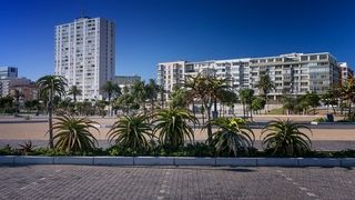 landscaping aloes kings beach