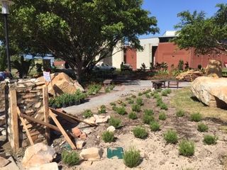 landscaping and irrigation beyers naude garden nmmu