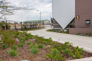 landscaping indigenous ctm