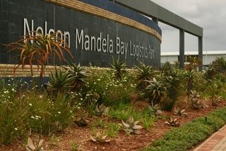 landscaping indigenous nmblp