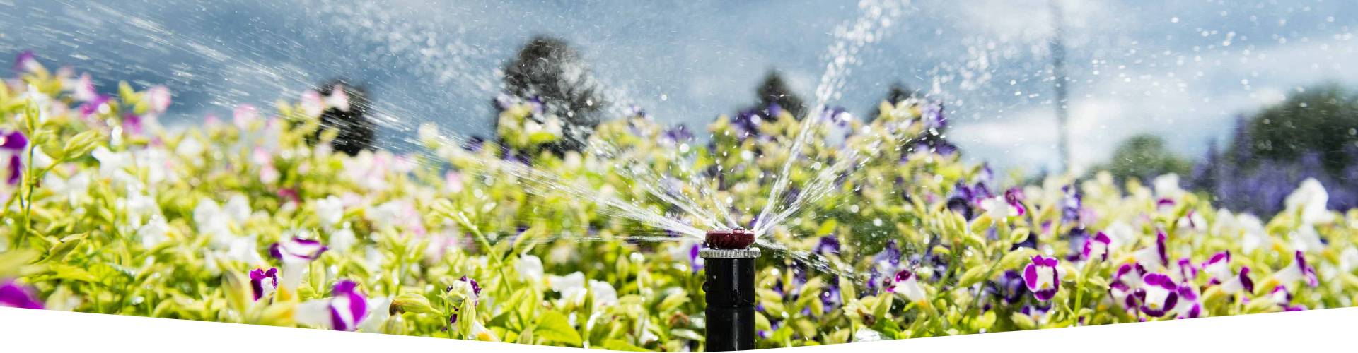 Irrigation-trenching-sports-fields-garderns-pe Irrigation-trenching-sports-fields-garderns-pe