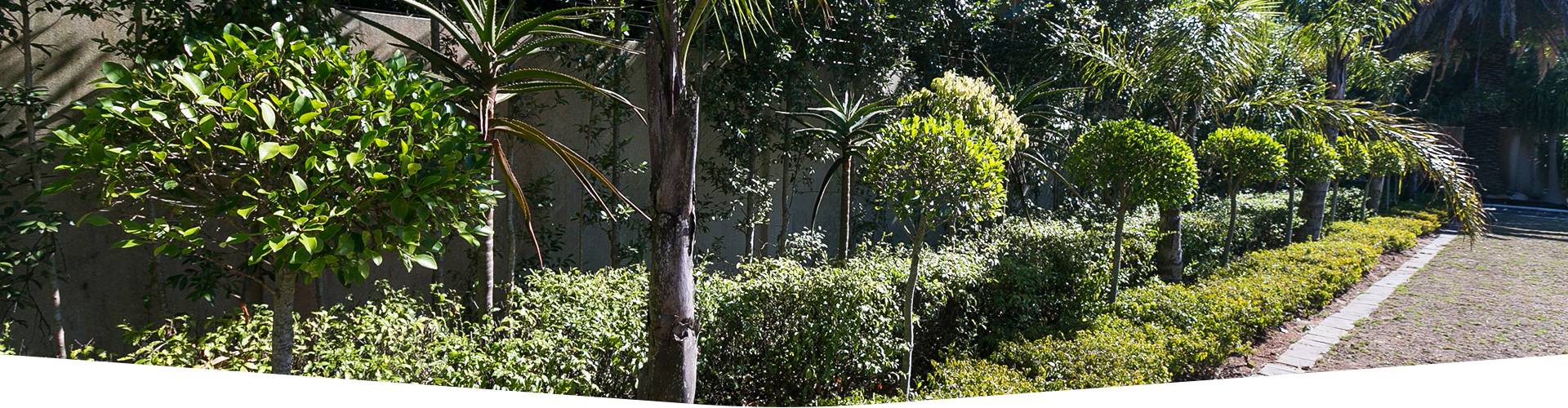Landscaping-and-irrigation-design-port-elizabeth Landscaping-and-irrigation-design-port-elizabeth